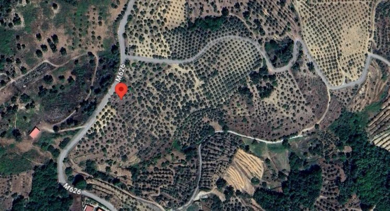 Terreno Agricola ou Rústico para Venda em Valtorno e Mourão Foto 1