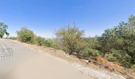 Terreno Agricola ou Rústico para Venda em Valtorno e Mourão