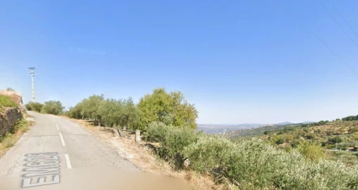 Terreno Agricola ou Rústico para Venda em Valtorno e Mourão