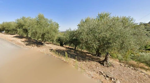 Terreno Agricola ou Rústico para Venda em Valtorno e Mourão