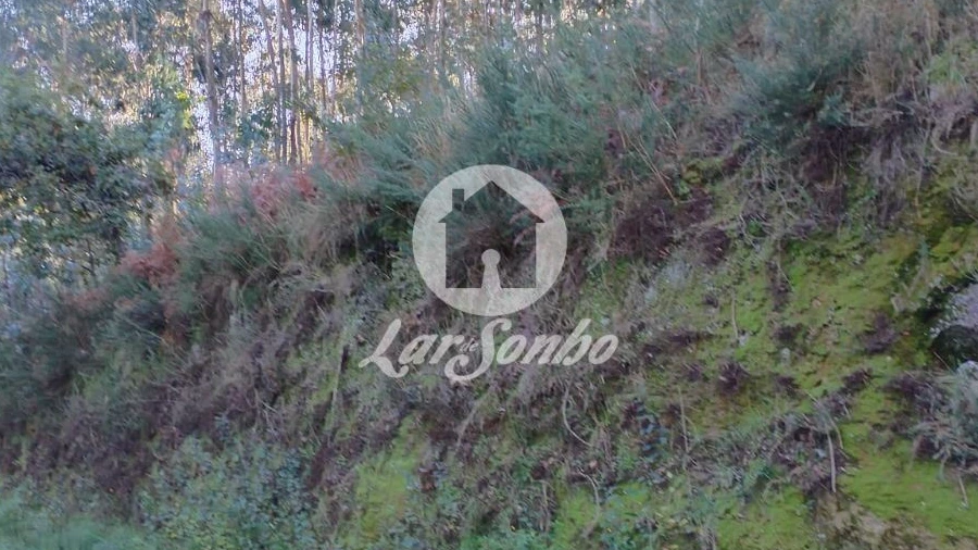 Terreno Agricola ou Rústico para Venda em Quinchães