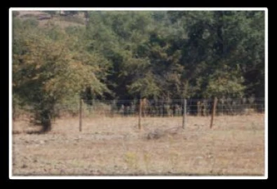 Terreno P/ Prédio para Venda em Urra