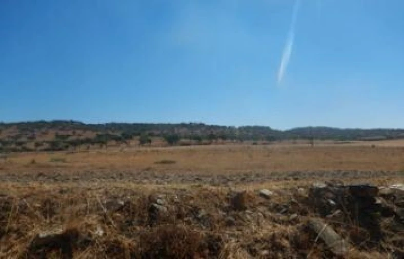 Terreno P/ Prédio para Venda em Urra Foto 2