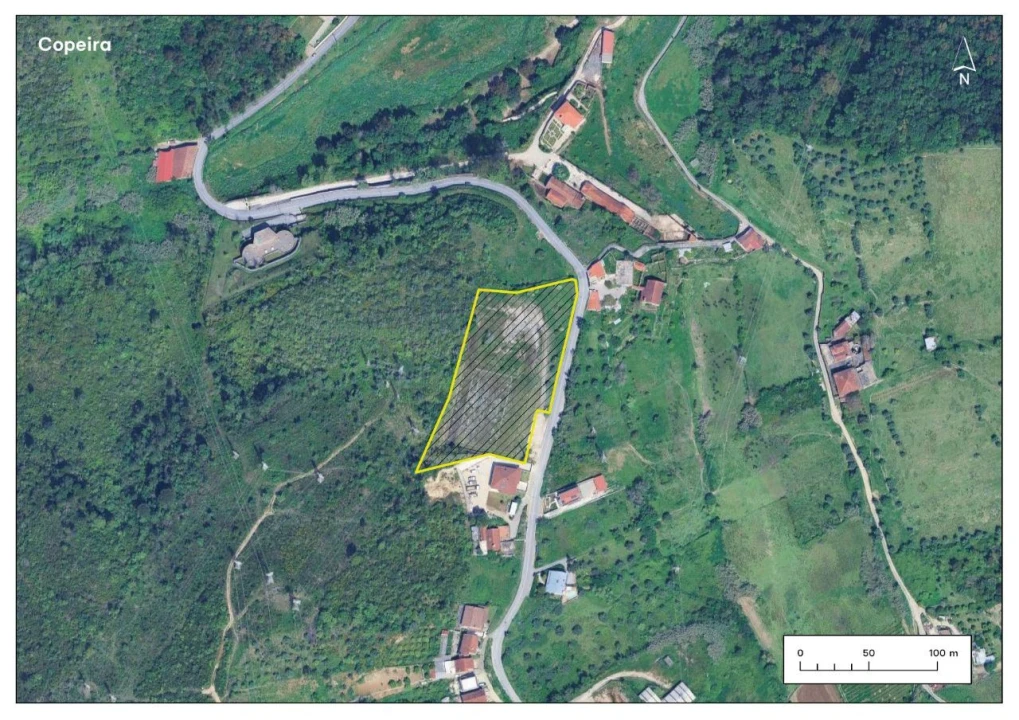 Terreno P/ Prédio para Venda em Santa Clara e Castelo Viegas Foto 1