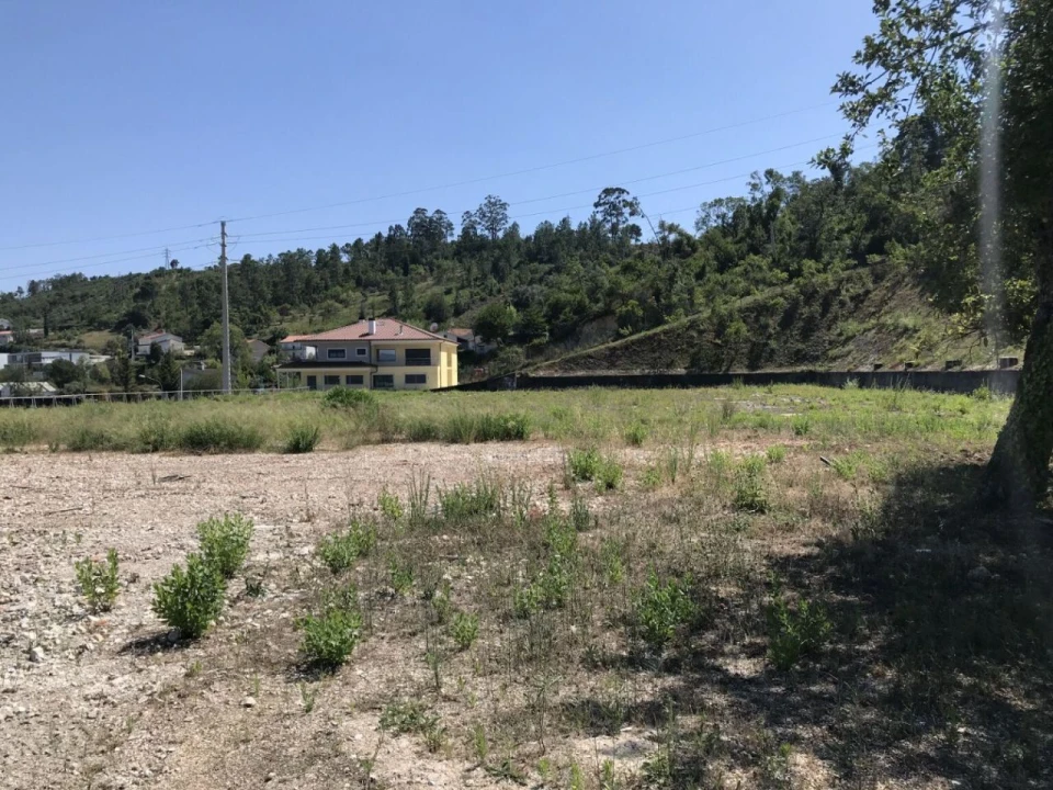 Terreno P/ Prédio para Venda em Santa Clara e Castelo Viegas Foto 6