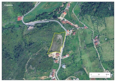 Terreno P/ Prédio para Venda em Santa Clara e Castelo Viegas