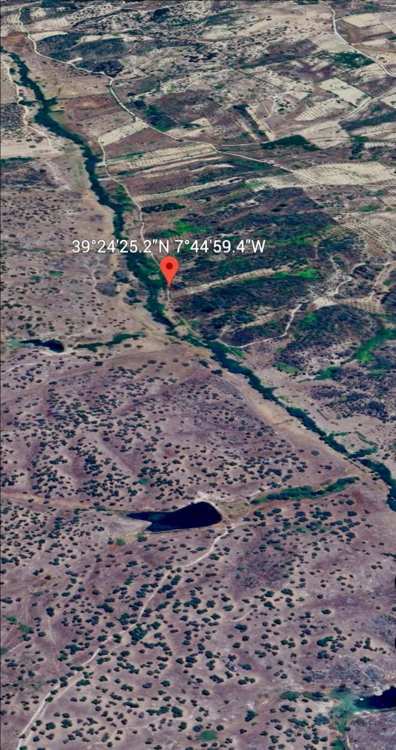 Terreno Agricola ou Rústico para Venda em Tolosa Foto 8