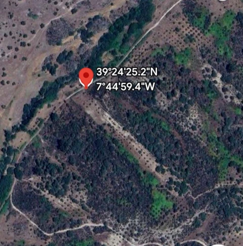 Terreno Agricola ou Rústico para Venda em Tolosa