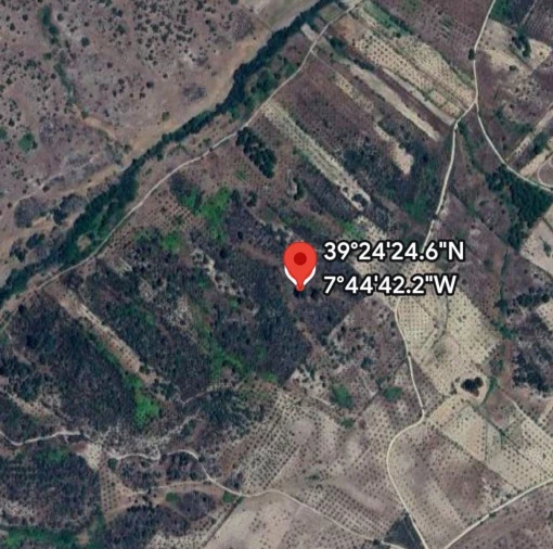 Terreno Agricola ou Rústico para Venda em Tolosa Foto 6