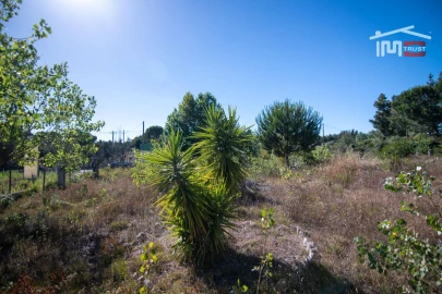 Armazém para Venda em Vila Chã de Ourique