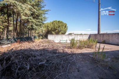 Armazém para Venda em Vila Chã de Ourique