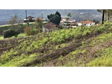 Terreno P/ Prédio para Venda em Amarante (São Gonçalo), Madalena, Cepelos e Gatão