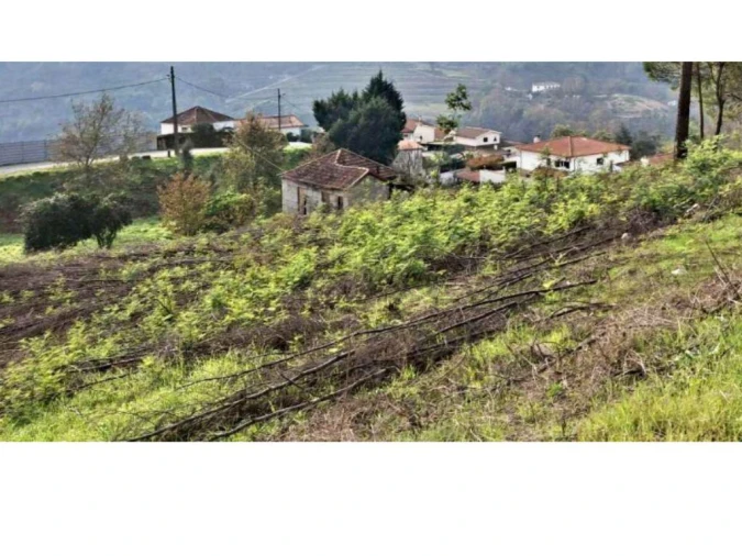Terreno P/ Prédio para Venda em Amarante (São Gonçalo), Madalena, Cepelos e Gatão Foto 10