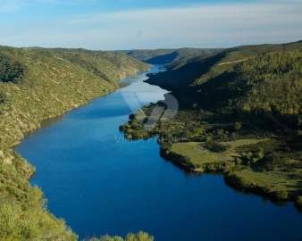 Prédio para Venda em Rosmaninhal