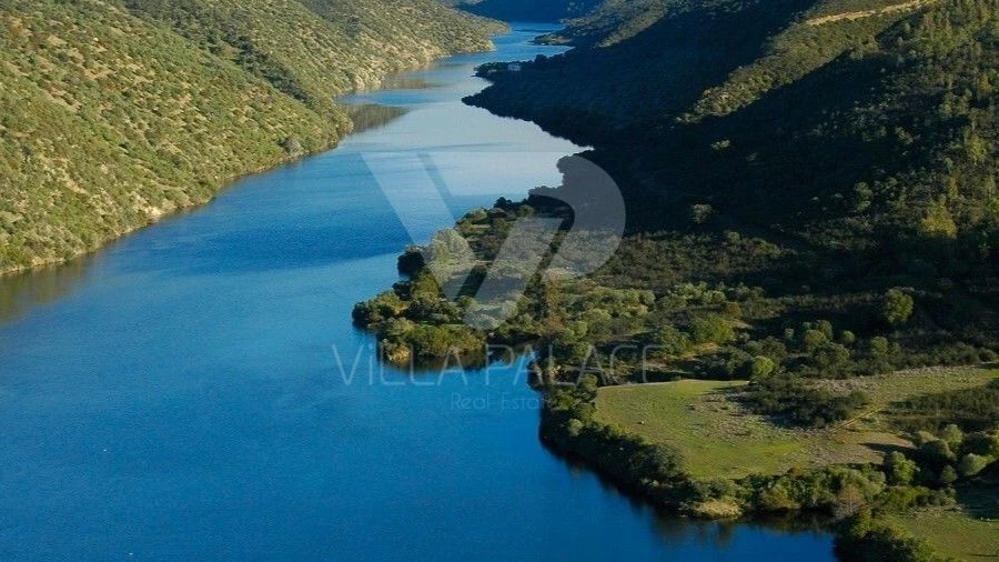 Prédio para Venda em Rosmaninhal