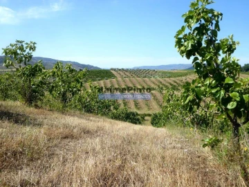Terreno Agricola ou Rústico para Venda em Mirandela
