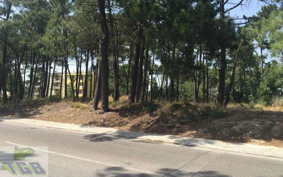 Terreno P/ Prédio para Venda em Azeitão (São Lourenço e São Simão) Foto 1