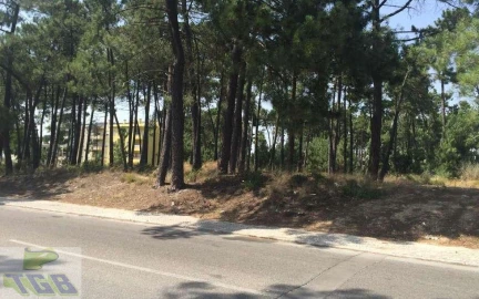 Terreno P/ Prédio para Venda em Azeitão (São Lourenço e São Simão)