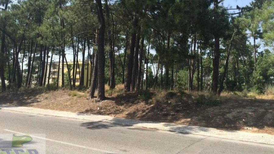 Terreno P/ Prédio para Venda em Azeitão (São Lourenço e São Simão)
