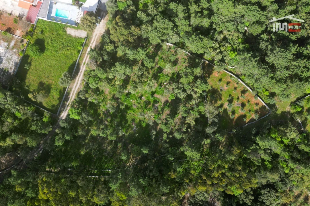 Terreno Agricola ou Rústico para Venda em Fatima Foto 1
