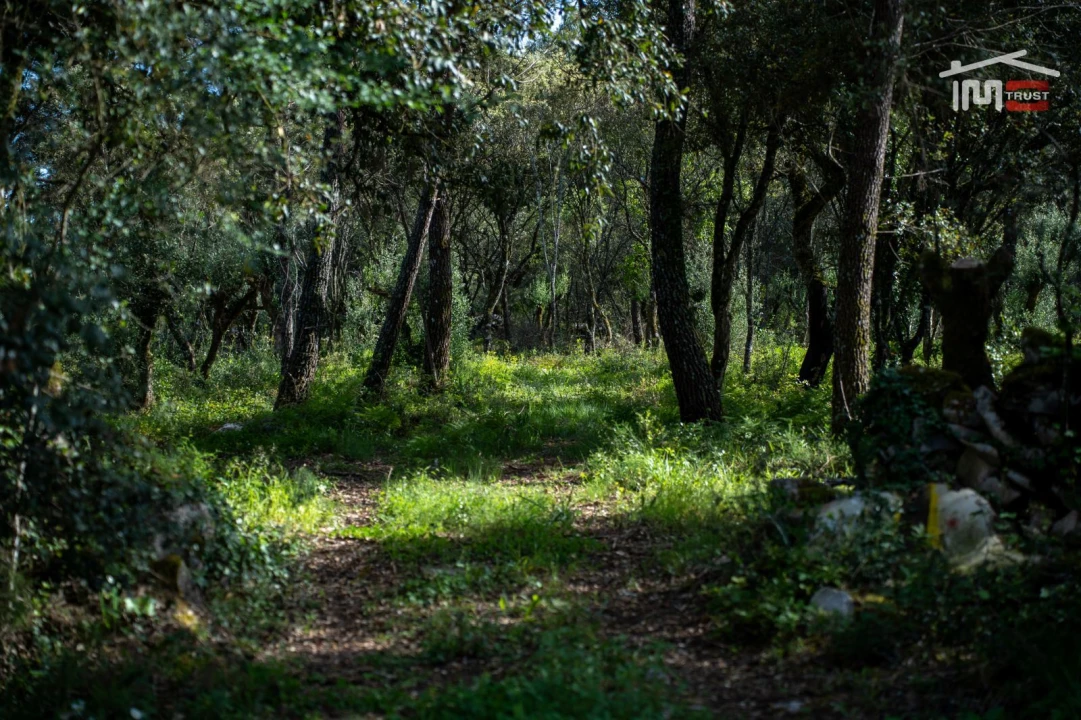 Terreno Agricola ou Rústico para Venda em Fatima Foto 3