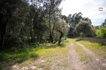 Terreno Agricola ou Rústico para Venda em Fatima
