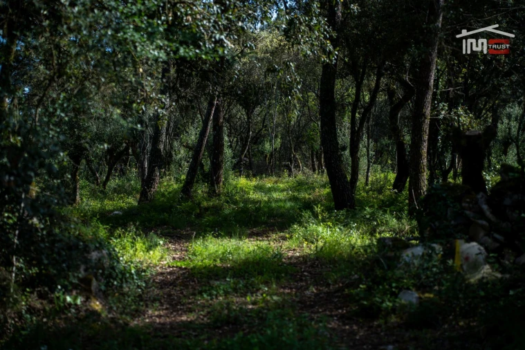 Terreno Agricola ou Rústico para Venda em Fatima Foto 4