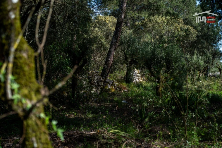 Terreno Agricola ou Rústico para Venda em Fatima Foto 10