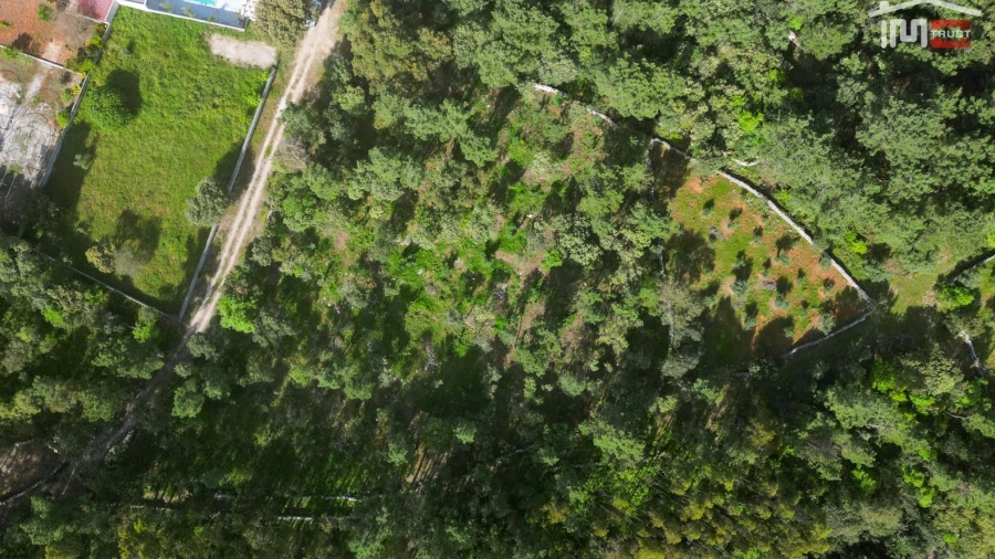 Terreno Agricola ou Rústico para Venda em Fatima