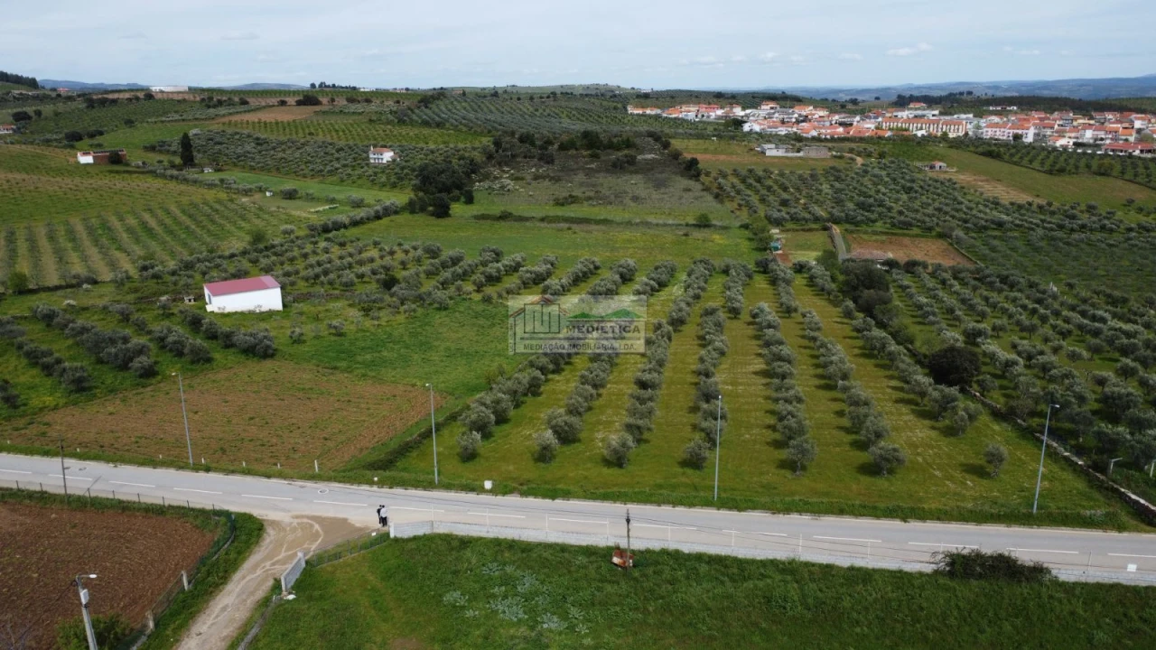 Quinta para Venda em Alfandega da Fe Foto 4