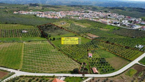 Quinta para Venda em Alfandega da Fe
