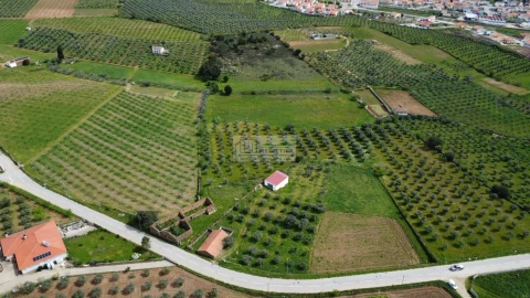 Quinta para Venda em Alfandega da Fe