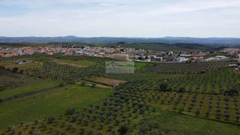 Quinta para Venda em Alfandega da Fe