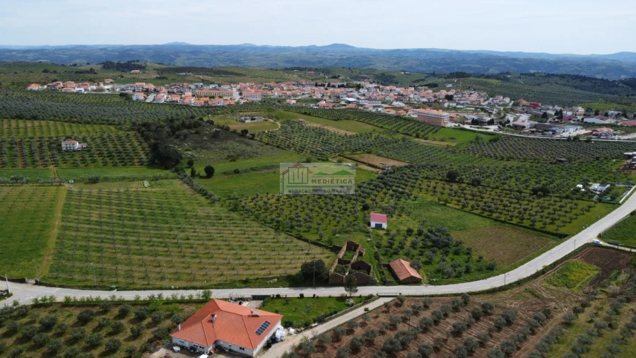 Quinta para Venda em Alfandega da Fe Foto 3