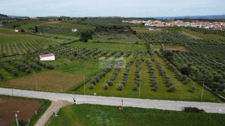 Quinta para Venda em Alfandega da Fe Foto 4