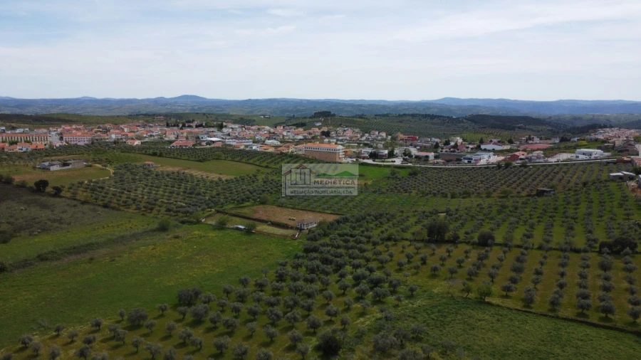 Quinta para Venda em Alfandega da Fe Foto 6