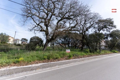 Terreno para Venda em Fatima