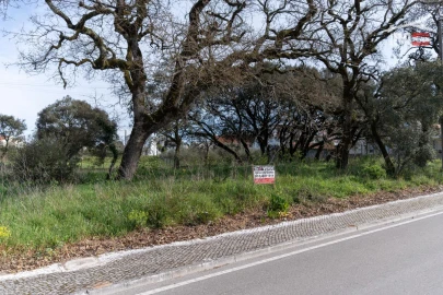 Terreno para Venda em Fatima