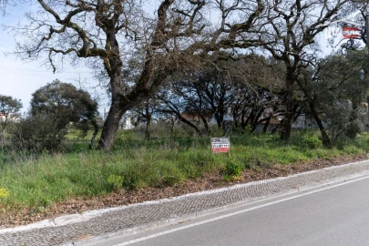 Terreno para Venda em Fatima