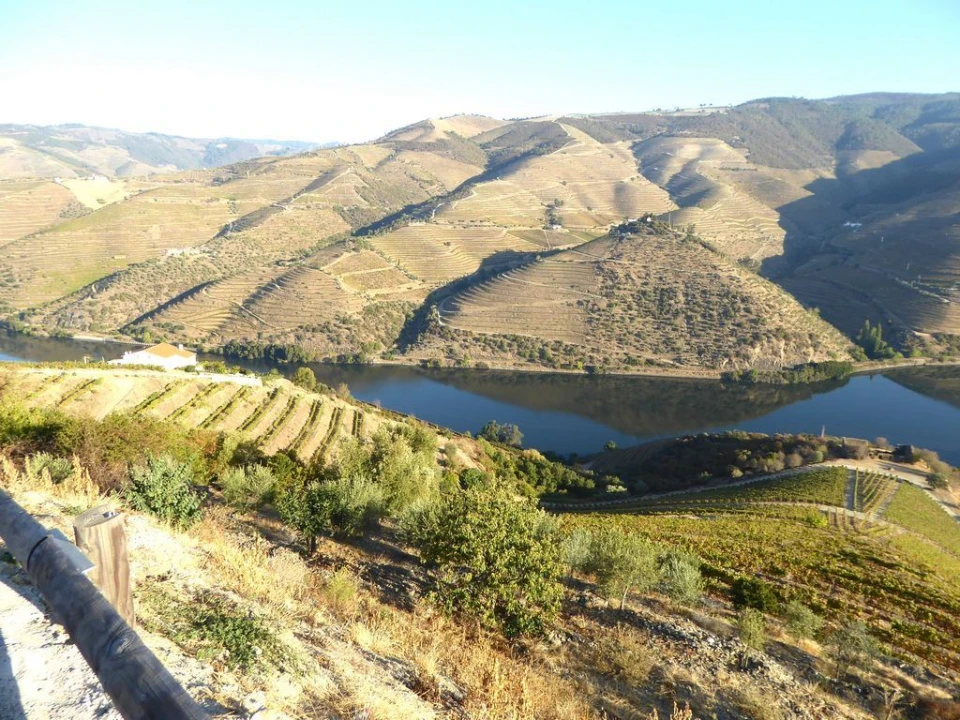 Negócio para Venda em Pinhão Foto 6