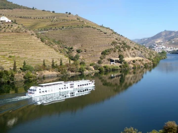 Negócio para Venda em Pinhão