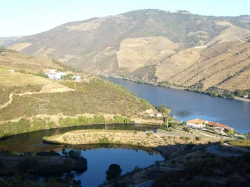 Negócio para Venda em Pinhão