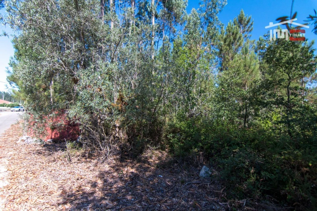 Terreno P/ Prédio para Venda em São Mamede Foto 4