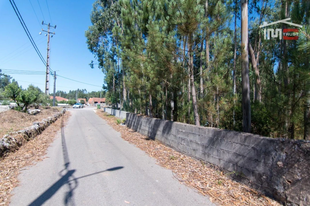 Terreno P/ Prédio para Venda em São Mamede Foto 5