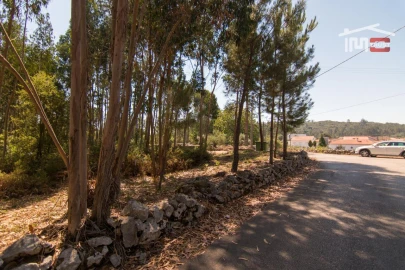 Terreno P/ Prédio para Venda em São Mamede