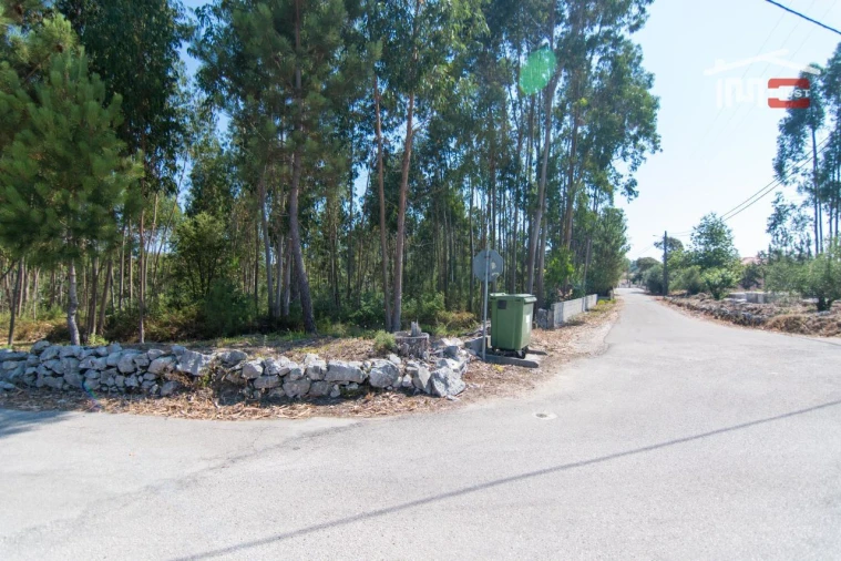 Terreno P/ Prédio para Venda em São Mamede Foto 2