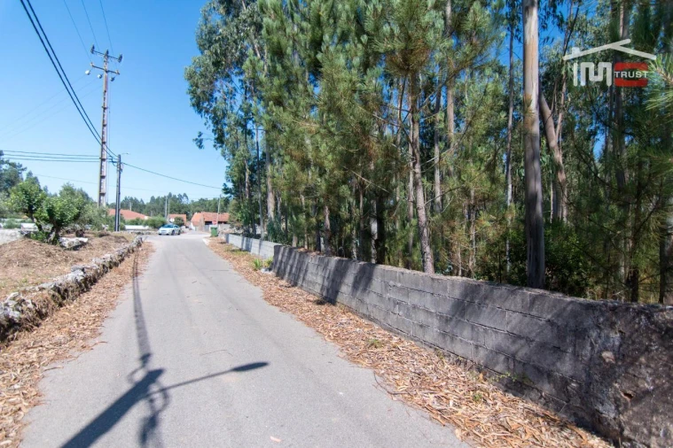 Terreno P/ Prédio para Venda em São Mamede Foto 5