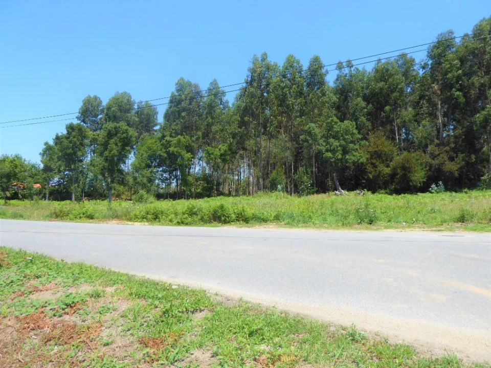 Terreno para Venda em São Felix da Marinha Foto 1