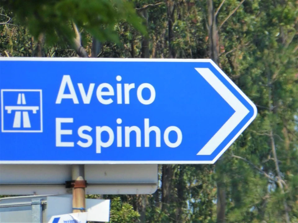 Terreno para Venda em São Felix da Marinha Foto 8