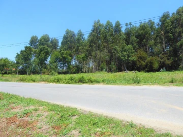 Terreno para Venda em São Felix da Marinha